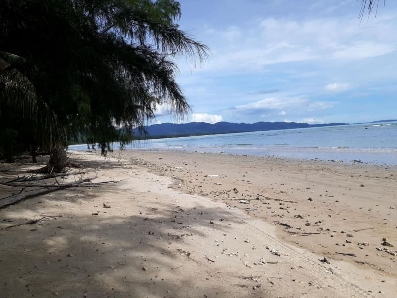 ขายที่ดิน  5 ไร่ 3 งาน 42.0 ตารางวา เจ้าของขายเอง ตำบลนาพละอำเภอเมืองตรัง จังหวัดตรัง